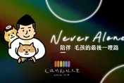 毛孩的彩虹天堂涉侵占531萬　負責人遭起訴陳屍台中租屋處