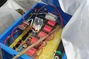年前祭祖遇橫禍！陸男觸非法捕獵電網「膚呈紫色」慘死路邊