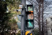 竹市「Rody跳跳馬」現身紅綠燈　可愛造型萌翻街頭