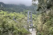百年日治古道重生！八通關越嶺道鹿鳴吊橋段2/13開放