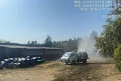 苗栗後龍畜牧場4頭豬隻死亡！動防所檢驗證實非非洲豬瘟