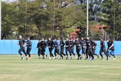 WBC/全民挺中華隊！　運動部補助經費達6400萬