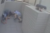 影/高雄警架梯攻堅毒窟！　屏東8毒販通緝犯躲屋頂一舉成擒
