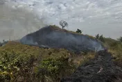 高雄大寮火燒山！雜草燃燒狂竄濃煙　搶救2小時控制