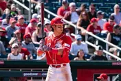 WBC/費仔今搭機來台　龍仔直赴日本宮崎會合