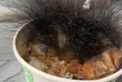 牛肉飯長出「頭髮」？陸男過年忘扔冒「黴菌」　濃密黑毛超驚悚