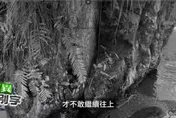 影/《靈異錯別字》猴洞坑瀑布水裡群鬼盯視　下秒女同學摔死
