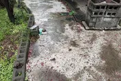 老伴突然就走了！中和7旬翁「8樓墜下慘死」妻子慟