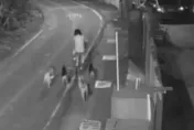 驚悚！深夜遭「米克斯大軍」猛追　彰化14隻惡犬咬傷路人