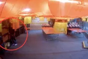 影/北海岸宮廟大盜落網　行竊前先拜拜得手秒遭逮