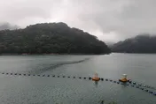 桃園林口居民注意！3/9停水計畫突喊卡　石門水庫馳援