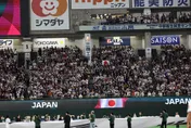 「台式應援」響徹東京巨蛋！中華隊應援聲浪壓過主場氣勢