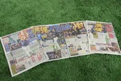 WBC/日媒狂讚大谷滿貫砲轟台！峮峮「照片更大」意外贏一局