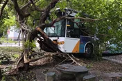影/再多2傷！內湖三總「公車整輛撞進樹林」12人送醫