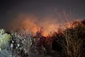 金門林地深夜大火！烈焰狂燒3000坪　消防5小時撲滅