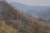 影/高雄美濃近黃蝶翠谷竹林火警　消防陸空搶救撲滅