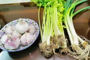 明文昌帝君誕辰小心「3禁忌」　煮湯別變「完蛋」