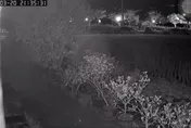 影/連2震畫面流出！花蓮地鳴聲如獅吼、鐵皮震動嚇壞汪星人