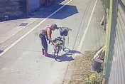 驚悚！彰化嬤下田遭3惡犬圍攻　衣服撕碎、全身百處傷口