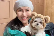 洪誠陽怒控張淳淳欠千萬！吳宗憲發聲：何必起波瀾
