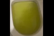 貓砂沖馬桶全堵住！他見「綠色泥漿」滿出來崩潰　網曝唯一解：用手挖