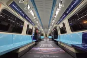 板南線車廂蛇出沒！網嚇壞「來吃老鼠的？」北捷回應了