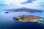 油價飆漲凍未條！南韓牛島船票調漲　日本爆自販機拆卸潮