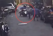 影/假虛幣投資騙10萬現身面交　車手遭圍捕起獲毒品