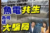 民間特偵組 / 謝龍介直擊魚電場變廢墟！爆買空賣空、欠債千萬