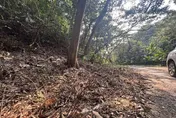 駭人！彰化傳雙眼「眼珠挖空+臉皮削光」命案　疑毒品糾紛