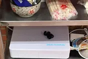 新北麵店設訊號遮蔽器遭檢舉後拆除！NCC：最高罰20萬