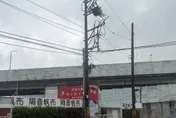鳥巢碰觸釀禍！板橋逾2千戶停電　台電搶修全數復電