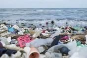 塑膠袋缺貨！寶島包裝節「海廢」拿來包食材　創意實踐永續