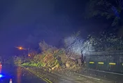 影/狀況危急！　台3線苗栗大湖路段「大量土石崩落」
