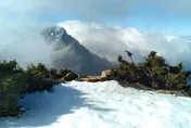 影/玉山再現4月雪！積雪2公分　夢幻景色美如畫