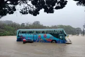 影/苗栗遊覽車淹成「觀光船」造謠人造雨！粉圓姐姐道歉了