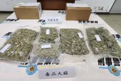 國際郵包夾藏3公斤大麻　運毒集團網募「代收包裹」人頭
