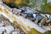 春雨救玉山排雲山莊！山澗重新出水　免再抽下方溪谷水源