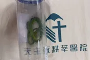 老翁遭青竹絲咬傷「急做這事」　竟是超NG行為！醫：恐更嚴重