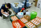 金蘭第四代賣康普茶！涉改效期使用過期原料　4人交保