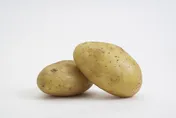 發芽馬鈴薯能進口加工？立委轟：食安漏洞恐傷民眾！