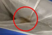 噁爆！花千元泡裸湯「池內撈出糞便」　陸女崩潰：不只一兩坨