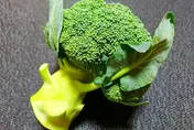 丟掉「花椰菜梗」浪費40%營養！營養師授3種家常吃法