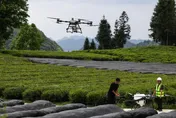 操作無人機灑農藥未清場…陸「飛手」砸死路人判關一年半