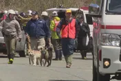 日本熊害再起！警山區找失蹤人員遭熊抓傷　現場發現女性遺體
