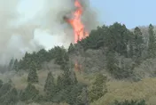 影/日本岩手山火狂燒3天　火勢逼近住宅區超2500人急避難