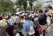 皮克敏活動首日大亂！贈品引發「不公」風暴　嘉市府緊急修訂
