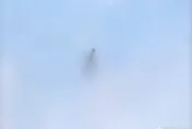 影/「飛龍在天」？西安神秘黑影盤旋近1小時　專家曝真相