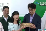 綠營小雞率先掛合體沈伯洋看板　陳冠安酸高嘉瑜背後心態