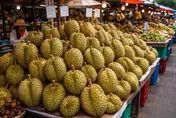 越南榴槤便宜卻藏危機　「這些毒素」恐傷腎損骨